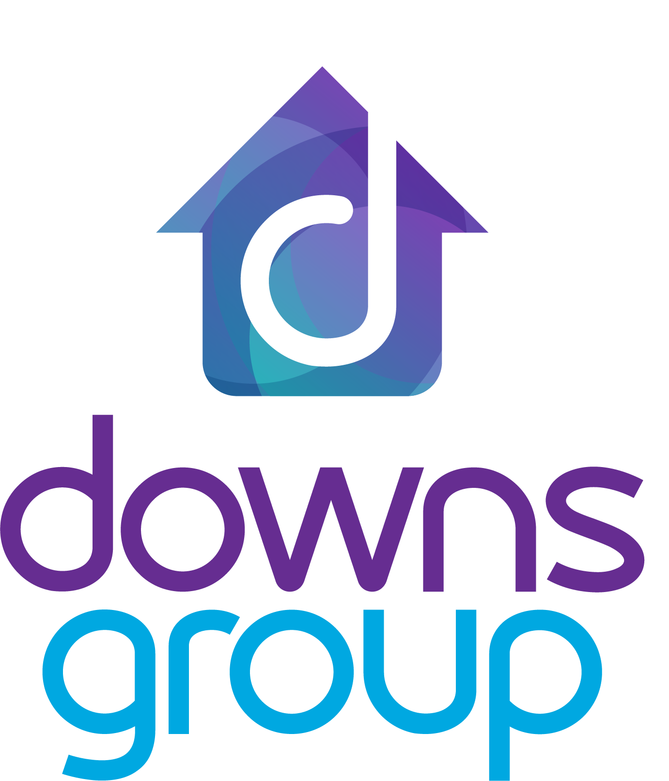 The Downs Group at Vellum Mortgage